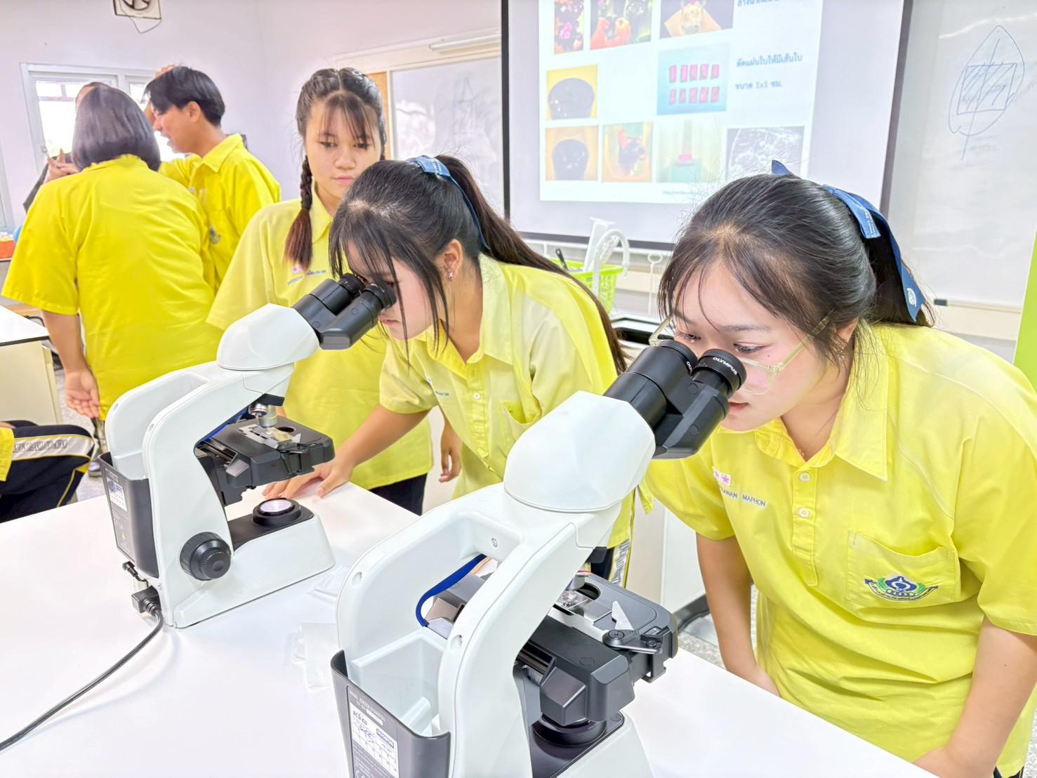 3. กิจกรรมบูรณากาารความรู้ เสริมทักษะการเพาะเลี้ยงเนื้อเยื่อพืช