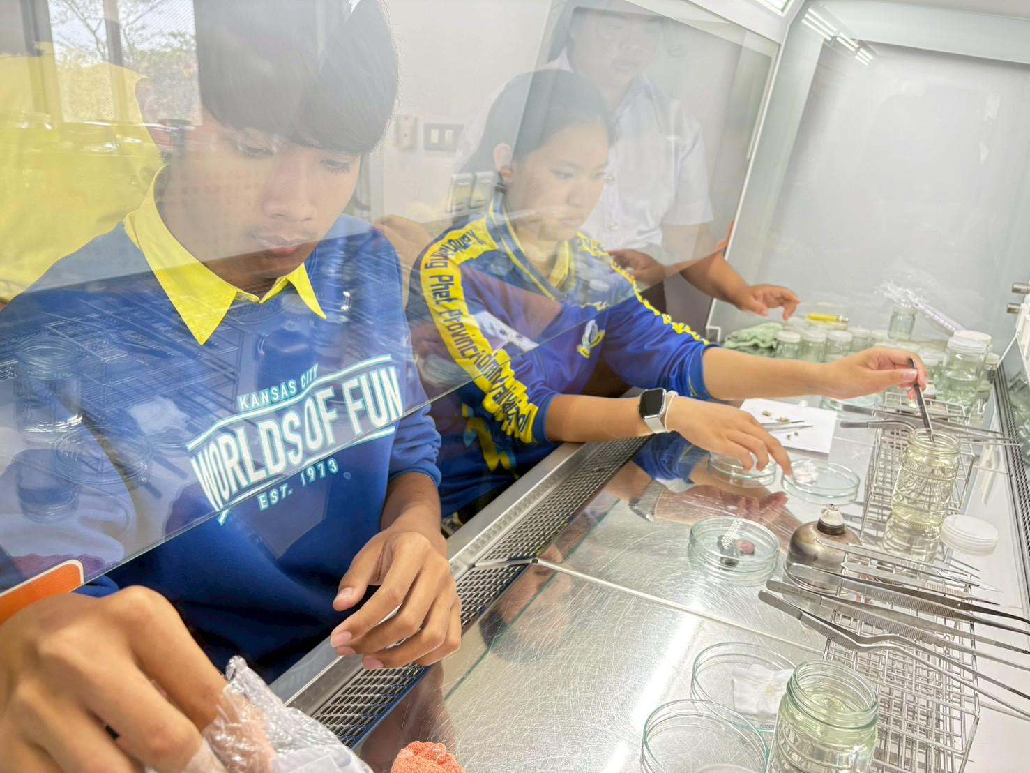 4. กิจกรรมบูรณากาารความรู้ เสริมทักษะการเพาะเลี้ยงเนื้อเยื่อพืช